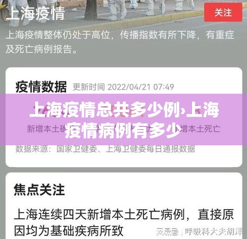 上海疫情总共多少例›上海疫情病例有多少