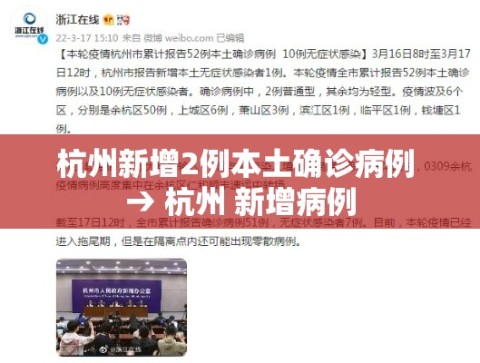 杭州新增2例本土确诊病例 → 杭州 新增病例 杭州新增2例本土确诊病例 → 杭州 新增病例