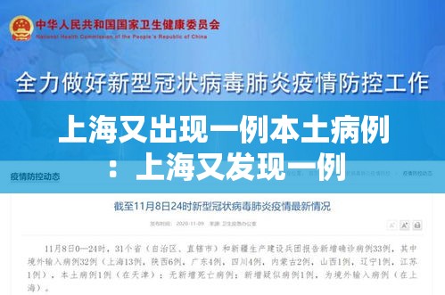 上海又出现一例本土病例:上海又发现一例 上海又出现一例本土病例:上海又发现一例