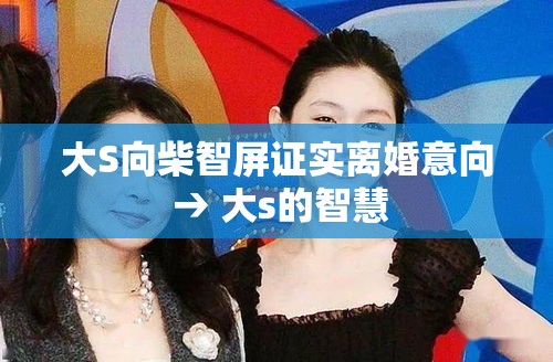 大S向柴智屏证实离婚意向 → 大s的智慧