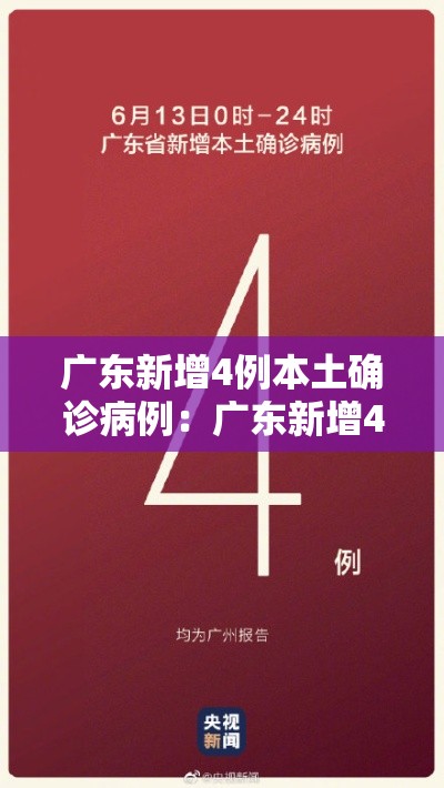 广东新增4例本土确诊病例：广东新增4例本土确诊病例分布