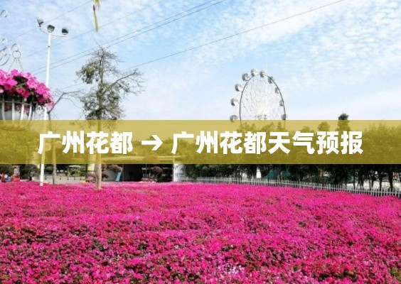 广州花都 → 广州花都天气预报