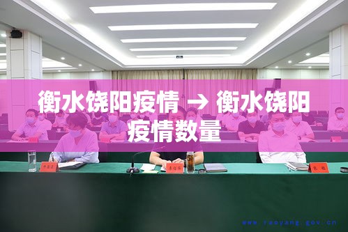 衡水饶阳疫情 → 衡水饶阳疫情数量 衡水饶阳疫情 → 衡水饶阳疫情数量