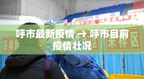 呼市最新疫情 → 呼市目前疫情壮况 呼市最新疫情 → 呼市目前疫情壮况
