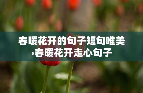 春暖花开的句子短句唯美›春暖花开走心句子 春暖花开的句子短句唯美›春暖花开走心句子
