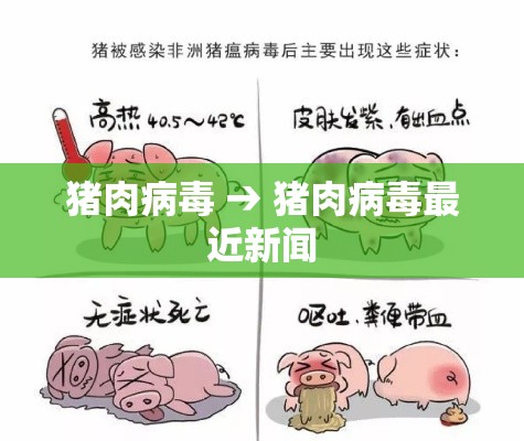 猪肉病毒 → 猪肉病毒最近新闻 猪肉病毒 → 猪肉病毒最近新闻
